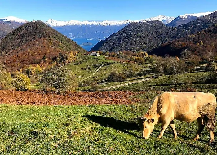 Valle Intelvi - Appartamento *